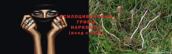 ешки Баксан