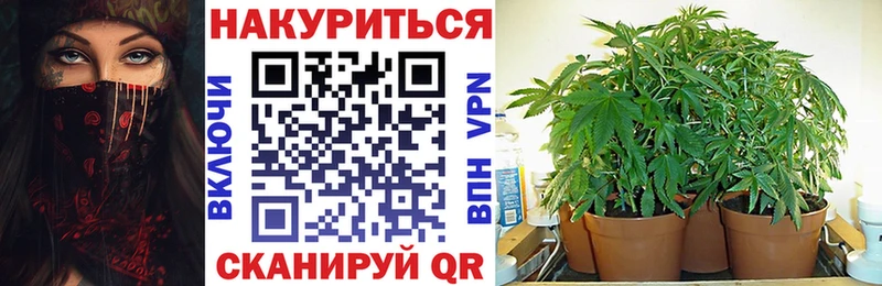 Канабис марихуана KRAKEN зеркало Городовиковск